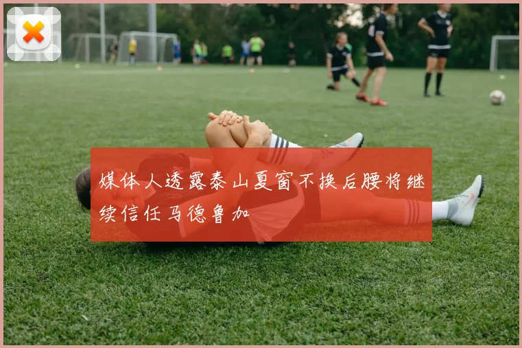 媒体人透露泰山夏窗不换后腰将继续信任马德鲁加